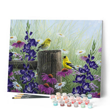 Afbeelding in Gallery-weergave laden, Schilderen op Nummer - Goldfinch Paar