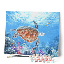 Afbeelding in Gallery-weergave laden, Schilderen op Nummer - Schildpad