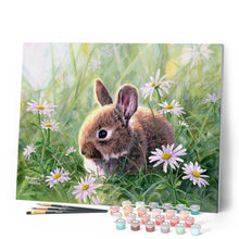 Afbeelding in Gallery-weergave laden, Schilderen op Nummer - Konijn en margrieten