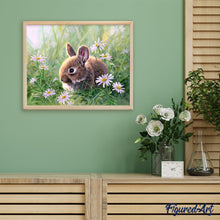 Afbeelding in Gallery-weergave laden, Schilderen op Nummer - Konijn en margrieten