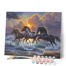 Afbeelding in Gallery-weergave laden, Schilderen op Nummer - Drie paarden en zee