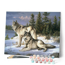 Afbeelding in Gallery-weergave laden, Schilderen op Nummer - Wolfspaar