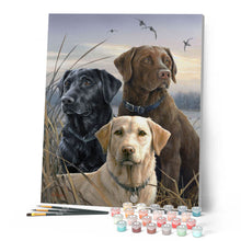 Afbeelding in Gallery-weergave laden, Schilderen op Nummer - Drie Labradors