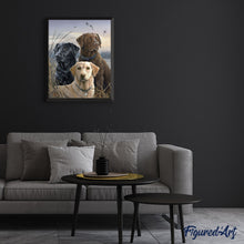 Afbeelding in Gallery-weergave laden, Schilderen op Nummer - Drie Labradors