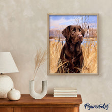 Afbeelding in Gallery-weergave laden, Schilderen op Nummer - Labrador