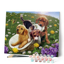 Afbeelding in Gallery-weergave laden, Schilderen op Nummer Spelen met vrienden Figured'Art gemiddeld nieuwkomers dieren honden bloemen