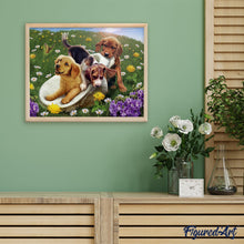 Afbeelding in Gallery-weergave laden, Schilderen op Nummer Spelen met vrienden Figured'Art gemiddeld nieuwkomers dieren honden bloemen