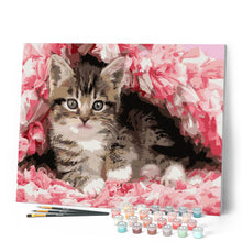 Afbeelding in Gallery-weergave laden, Schilderen op Nummer Gecoat katje Figured'Art gemiddeld nieuwkomers dieren katten bloemen