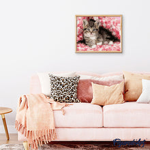 Afbeelding in Gallery-weergave laden, Schilderen op Nummer Gecoat katje Figured'Art gemiddeld nieuwkomers dieren katten bloemen
