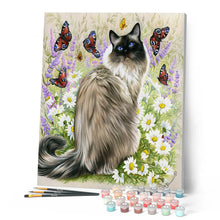 Afbeelding in Gallery-weergave laden, Schilderen op Nummer Ontdekking van vlinders Figured'Art gemiddeld nieuwkomers dieren katten vlinders bloemen