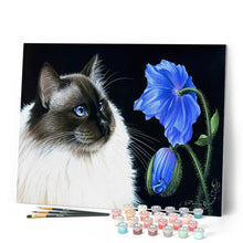 Afbeelding in Gallery-weergave laden, Schilderen op Nummer Floraal face-to-face Figured'Art eenvoudig nieuwkomers dieren katten bloemen
