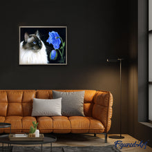 Afbeelding in Gallery-weergave laden, Schilderen op Nummer Floraal face-to-face Figured'Art eenvoudig nieuwkomers dieren katten bloemen