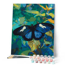 Afbeelding in Gallery-weergave laden, Schilderen op Nummer - Heliconius Cydno Vlinder