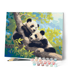 Afbeelding in Gallery-weergave laden, Schilderen op Nummer - Panda's op een Tak
