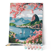 Afbeelding in Gallery-weergave laden, Schilderen op Nummer - Haven van Rio de Janeiro