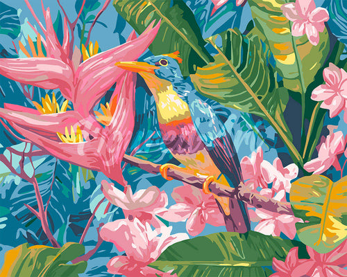 Schilderen op Nummer - Tropische junglevogel