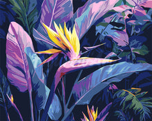 Afbeelding in Gallery-weergave laden, Schilderen op Nummer - Paradijsvogel