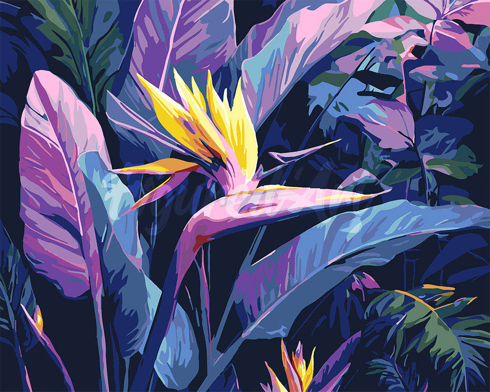 Schilderen op Nummer - Paradijsvogel