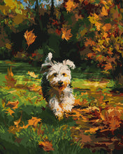 Afbeelding in Gallery-weergave laden, Schilderen op Nummer - Vrolijke pup in de herfst