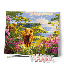 Afbeelding in Gallery-weergave laden, Schilderen op Nummer - Schotse Hooglander in de lentevallei