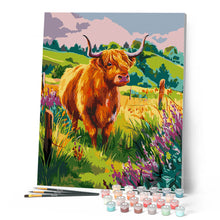 Afbeelding in Gallery-weergave laden, Schilderen op Nummer - Schotse Hooglander op het platteland