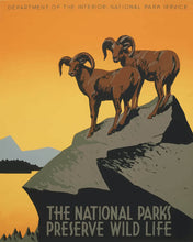 Afbeelding in Gallery-weergave laden, Schilderen op Nummer - Poster van nationale parken