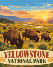Afbeelding in Gallery-weergave laden, Schilderen op Nummer - Yellowstone National Park, bizons in de Lamar Valley - Wyoming