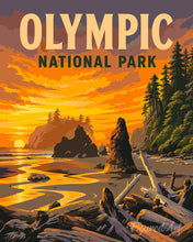 Afbeelding in Gallery-weergave laden, Schilderen op Nummer - Olympic National Park - Washington