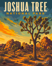 Afbeelding in Gallery-weergave laden, Schilderen op Nummer - Joshua Tree National Park - Californië