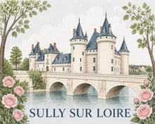 Afbeelding in Gallery-weergave laden, Schilderen op Nummer - Kasteel van Sully-sur-Loire