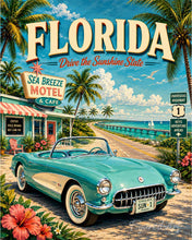 Afbeelding in Gallery-weergave laden, Schilderen op Nummer - Vintageposter Florida - Drive the Sunshine State