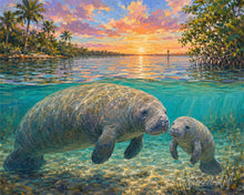 Afbeelding in Gallery-weergave laden, Schilderen op Nummer - Zeekoe en baby
