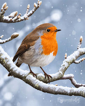 Afbeelding in Gallery-weergave laden, Schilderen op Nummer - Winterroodborstje