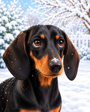 Afbeelding in Gallery-weergave laden, Schilderen op Nummer - Winterportret van een teckel
