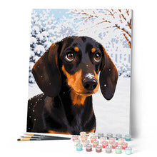 Afbeelding in Gallery-weergave laden, Schilderen op Nummer - Winterportret van een teckel