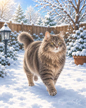 Afbeelding in Gallery-weergave laden, Schilderen op Nummer - Kat in de winter
