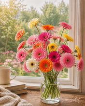 Afbeelding in Gallery-weergave laden, Schilderen op Nummer - Vrolijke gerbera's
