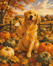 Afbeelding in Gallery-weergave laden, Schilderen op Nummer - Golden Retriever in het Pompoenenveld