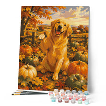 Afbeelding in Gallery-weergave laden, Schilderen op Nummer - Golden Retriever in het Pompoenenveld