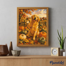 Afbeelding in Gallery-weergave laden, Schilderen op Nummer - Golden Retriever in het Pompoenenveld