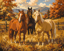 Afbeelding in Gallery-weergave laden, Schilderen op Nummer - Paarden op de Herfstweide