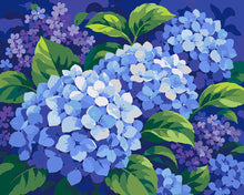 Afbeelding in Gallery-weergave laden, Schilderen op Nummer - Blauwe hortensia