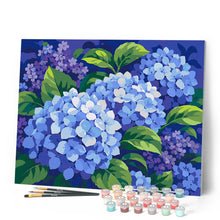 Afbeelding in Gallery-weergave laden, Schilderen op Nummer - Blauwe hortensia