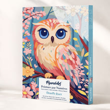 Afbeelding in Gallery-weergave laden, Cadeauset Schilderen op Nummers - Schattige Uil Figured'Art