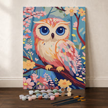 Afbeelding in Gallery-weergave laden, Cadeauset Schilderen op Nummers - Schattige Uil
