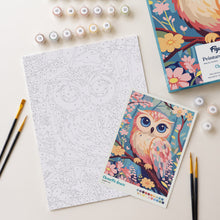 Afbeelding in Gallery-weergave laden, Cadeauset Schilderen op Nummers - Schattige Uil