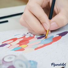 Afbeelding in Gallery-weergave laden, Cadeauset Schilderen op Nummers - Schattige Uil