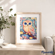 Afbeelding in Gallery-weergave laden, Cadeauset Schilderen op Nummers - Schattige Uil