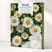 Afbeelding in Gallery-weergave laden, Cadeauset Schilderen op Nummers - Witte Madeliefjes Figured'Art