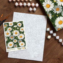 Afbeelding in Gallery-weergave laden, Cadeauset Schilderen op Nummers - Witte Madeliefjes
